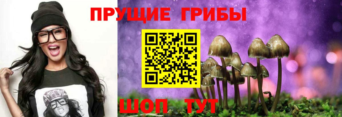 Галлюциногенные грибы прущие грибы  Вход с VPN  Кольчугино 